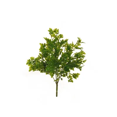 Prezzemolo mazzo cm.37 verde