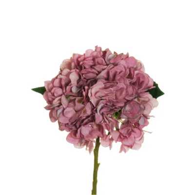 Ortensia juliet ramo cm.50 rosa carico