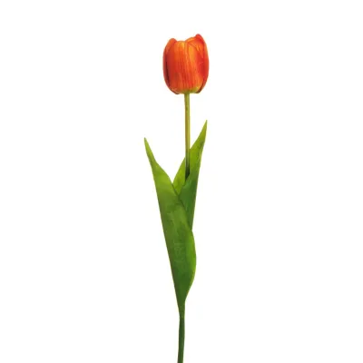 Tulipano singolo cm.54 arancio