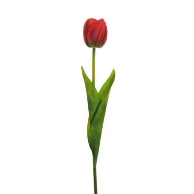 Tulipano singolo cm.54 rosso