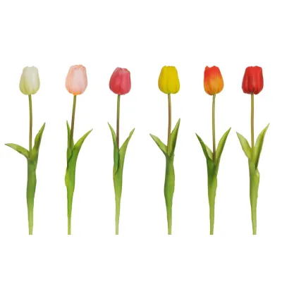 Tulipano singolo cm.46 assortito