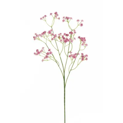 Gypsophila ramo cm.64 lilla