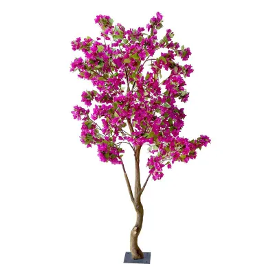 Bouganvillea pianta h.240 purple