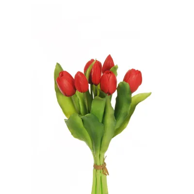 Tulipano bundle 7 fiori rosso