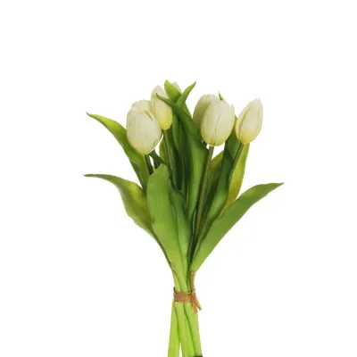 Tulipano bundle 7 fiori crema