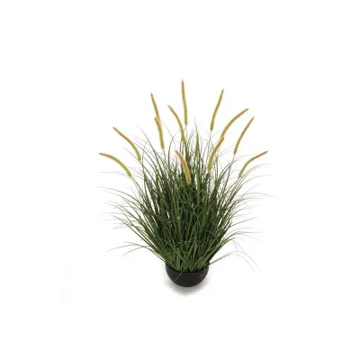 Grass pianta h.090 verde