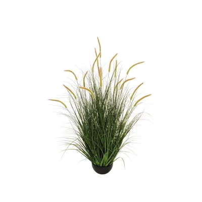 Grass pianta h.120 verde