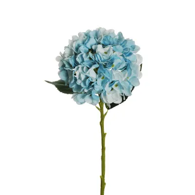 Ortensia juliet cm.50 celeste