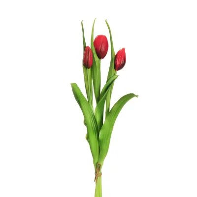 Tulipano bundle 3 fiori rosso