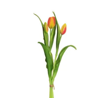 Tulipano bundle 3 fiori arancione