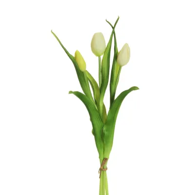 Tulipano bundle 3 fiori crema