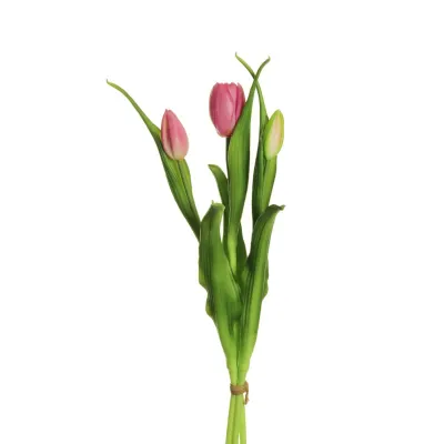 Tulipano bundle 3 fiori lilla