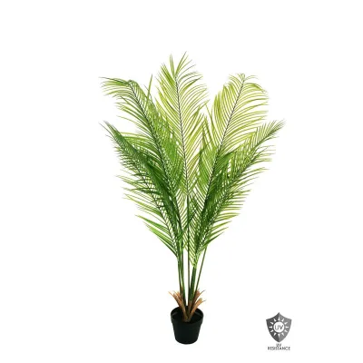 Areca kentia plant h.140 verde uv resistant
