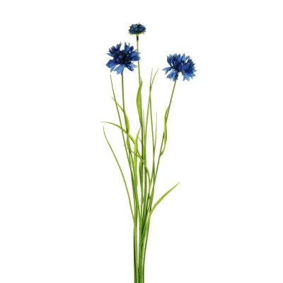 Fiordaliso cm. 68 blu