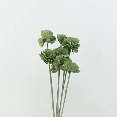 Shola cabbage rose 8cm verde menta 6pz