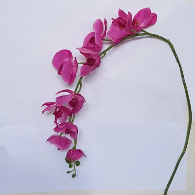Phalaenopsis real ramo 10 fiori cm.125