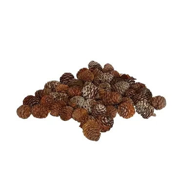 Pigna murrii naturale (gr.500.)