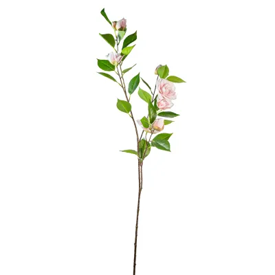Camelia ramo cm.90 rosa