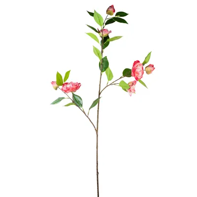 Camelia ramo cm.90 fucsia