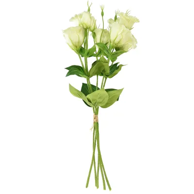 Lisiantus bundle x5 cm.70 crema