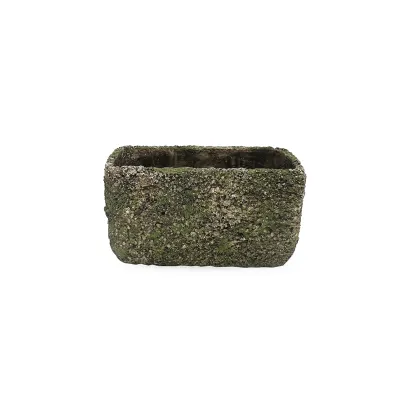 Lm-vaschetta rett.18x10 muschio