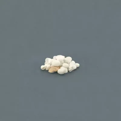 Conchiglia chiocciola (gr.900)