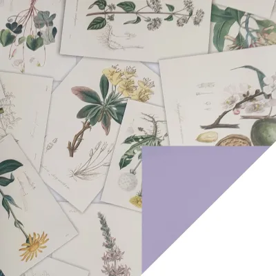 Bobina cpr 1x25 botanical prof. lavanda