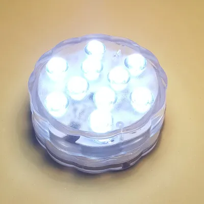 Luce subacquea 10 led fredda