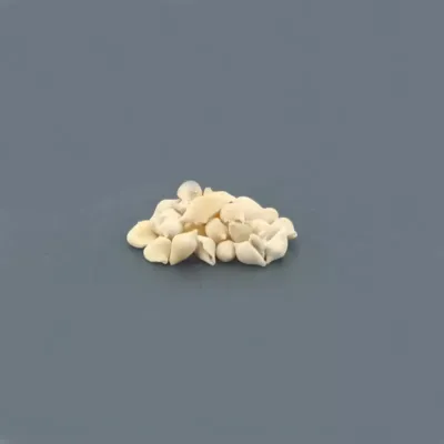 Conchiglia assortita (gr.800)