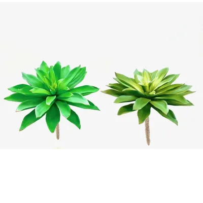Aloe cm.30 assortito