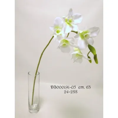 Dendrobium ramo cm.58 crema