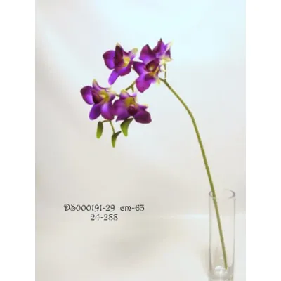 Dendrobium ramo cm.58 purple