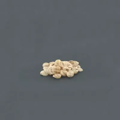Conchiglia rigata (gr.200)