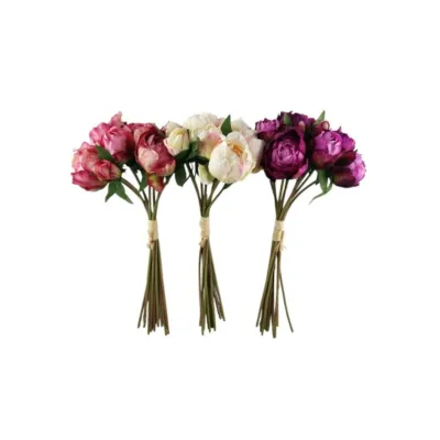 Peonia bundle cm.38 ass.
