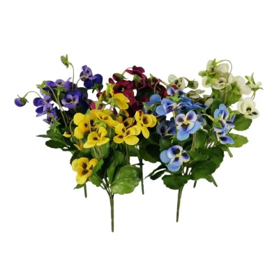 Pansy mini bush x5 assortito