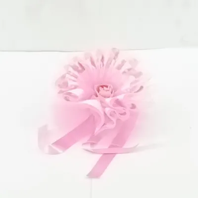 Coccardina diam.12 rosa (pz.6)