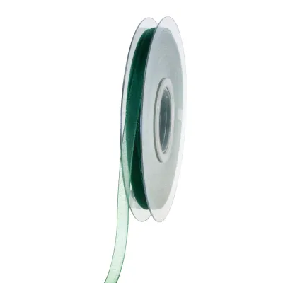 Nastro organdy mm.06 m.50 v.scuro