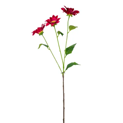 Gazania ramo cm.75 fucsia