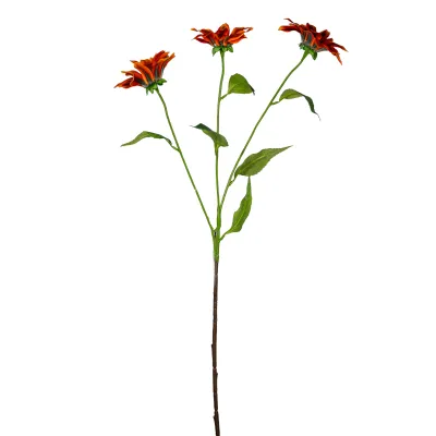 Gazania ramo cm.75 arancio-rosso