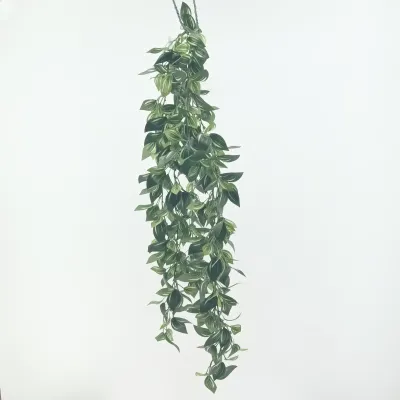 Tredescantia cadente cm.105 verde