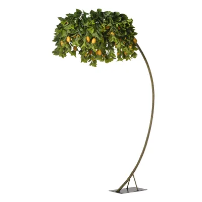 Limone pianta h.280 