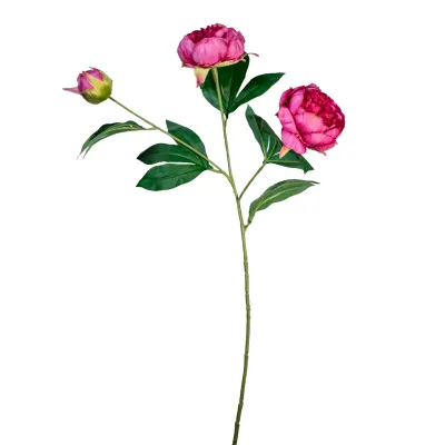 Peonia ramo cm. 72 fucsia