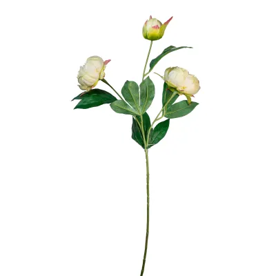 Peonia ramo cm. 72 giallo