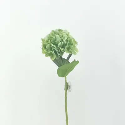 Ortensia cm.62 verde