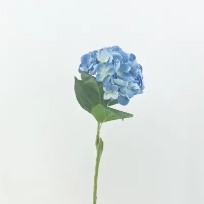 Ortensia cm.62 blu