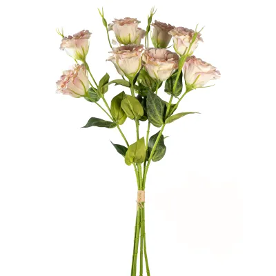 Lisiantus bundle x5 cm.70 rosa