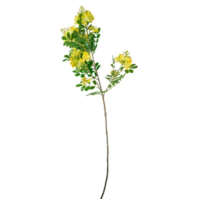 Cassia ramo cm.110 giallo