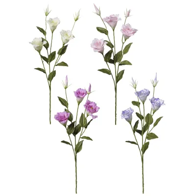 Lisianthus ramo cm.77 assortito
