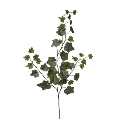 Edera ramo cm.63 verde