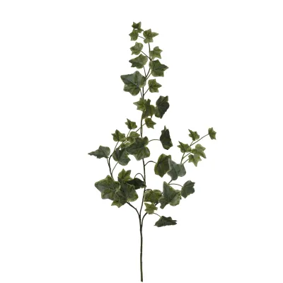 Edera ramo cm.63 variegata
